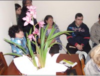 /album/celulas/a4-jpg/